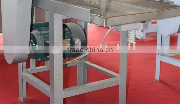 CE Chinese Industrial Electric Noodles Maker Machine for Sale photo-3