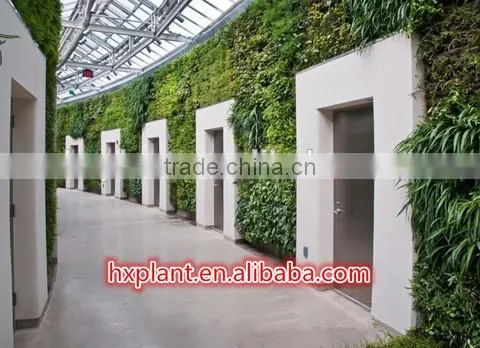 Artificial Green Wall for Office /hotel/home Decoration photo-5