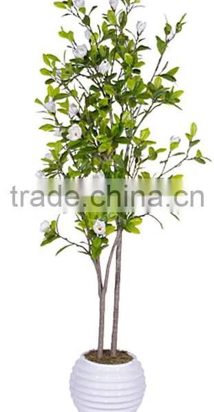 Indoor Home Garden Decorative 250cm Height Make Artificial Green Live Magnolia Bonsai Tree EXLYPZ06 0510 photo-6