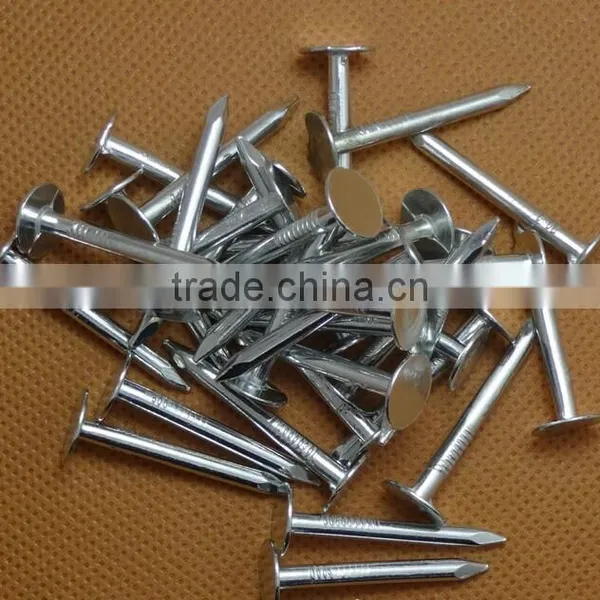 Factory Direct Selling Flat Head Clout Nails Roofing Nails Iron Nail Prices photo-5
