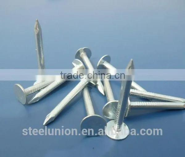 BIG FLAT HEAD CLOUT NAILS photo-5