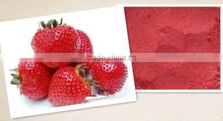 Hot Sales Instant Flavored Fruits Drinks Powder photo-5