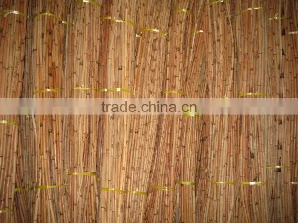 Red Water Rattan Cane photo-3