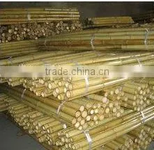 Hot Sale Vase and Bamboo Sticks
