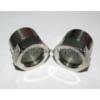 NPT Oil Sight Glass