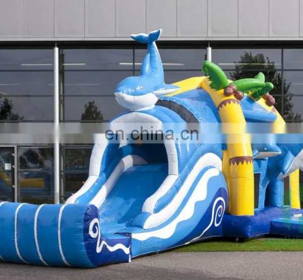 Cheap Jumping Castles Inflatable Water Slide Giant Inflatable Equipment