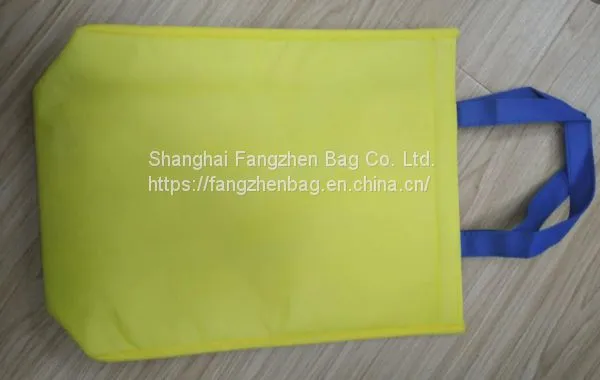 Non Woven Cooler Bag photo-2