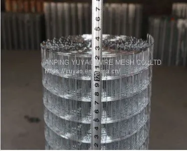 Factory Low Price 1/2 Inch Green 1X2 Pvc Coated Welded Wire Mesh photo-5
