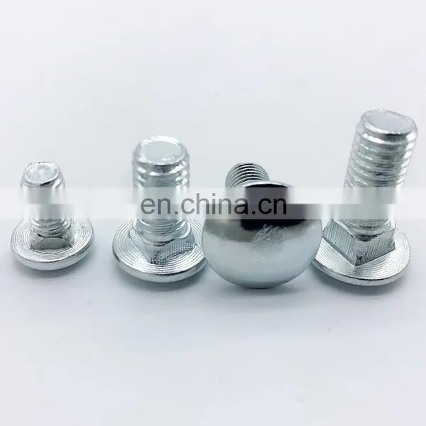 Stainless Steel Carriage Bolt GB12 Step Bolts photo-3