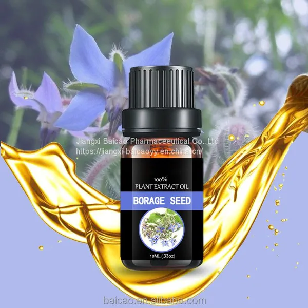 Manufacturer Supply Carrier Oil Borage Oil Pure Natural Base Oil Borage Seed Oil With Best Price photo-5