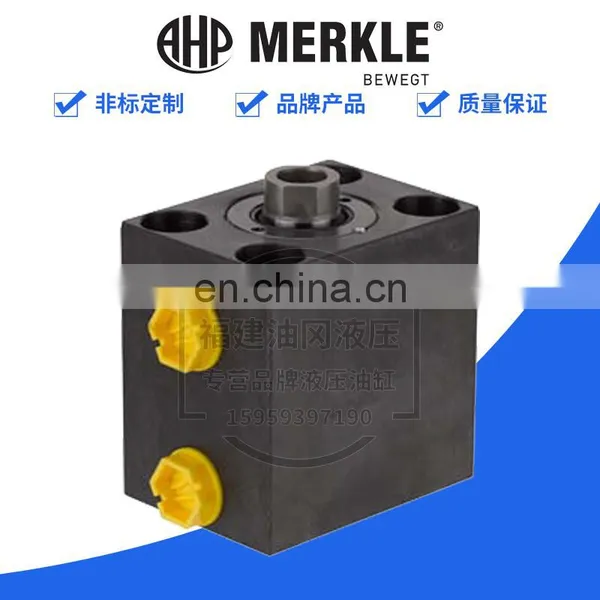 German Cylinder AHP-MERKLE Guide Rod Cylinder BSEP250.20/12.02.4.201.100B photo-5