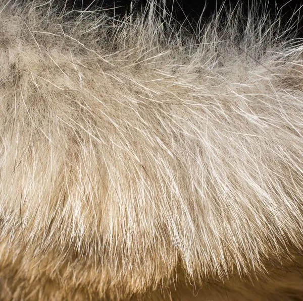 Faux Fur photo-2