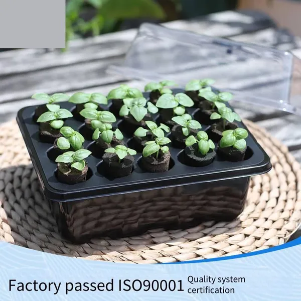 Wholesale New Style Seedling Tray Sets With 20 Holes, Amazon Planter, Factory - Supplied Seedling Trays photo-3