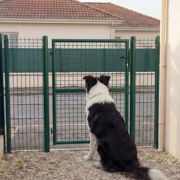 Heavy Duty Pre-fabricated Metal Garden Gate With Lock System