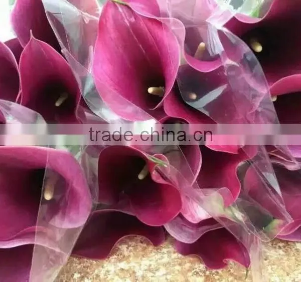 High Grade New Coming Decoration Calla Lily Flower photo-5
