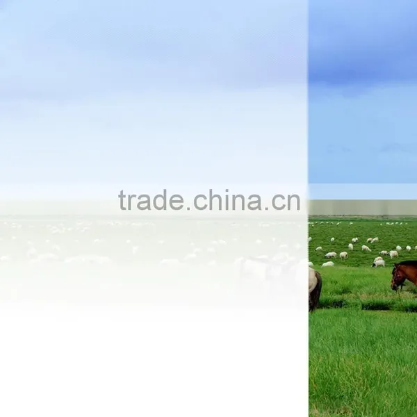 Stretch Pe Film Self-adhesive Protective Film For Window Glass photo-4