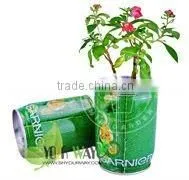 Wooden Box Mini Plant photo-2