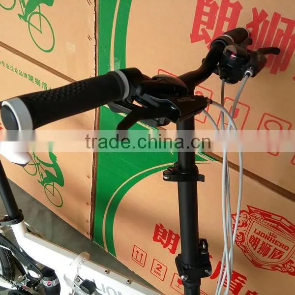 20 Inches Hot Sale Cheap China White Citizen Folding Bikes photo-5
