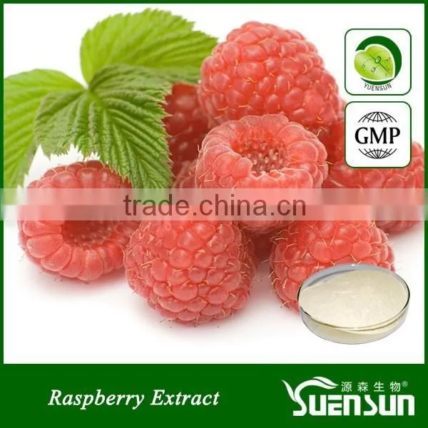  gold supplier raspberry extract raspberry powder natural raspberry ketone