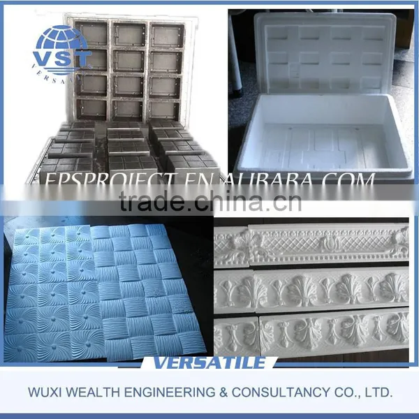 China EPS Mould for Fruit Box and Vegetable Box photo-5