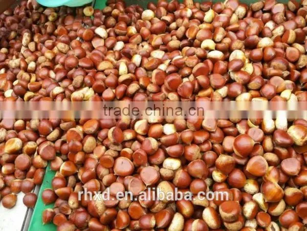 2015 Health Food Fresh Chinese Sweet Chestnuts/chinese Snack Food photo-4