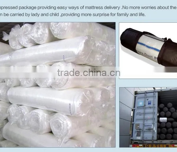 Wholesale Supplier Lurury Vacuum Packed Sleep Well Thin Mattress Pad photo-3