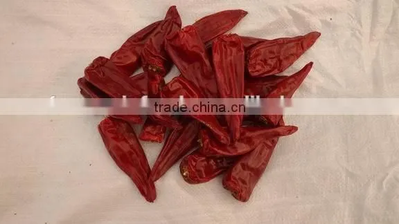 Chilli photo-2