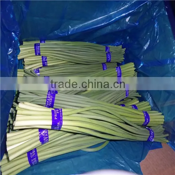 Garlic Shoot/ Garlic Leek