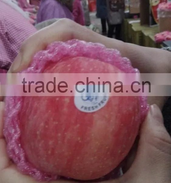 Chinese Fuji Apple photo-3