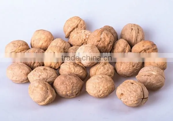Chinese Supplier of Dried Walnut Kernel for Sale and With Best Quality Walnut for Hot Sale photo-5