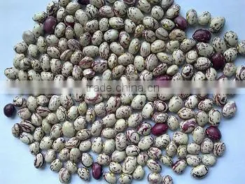 Kidney Beans