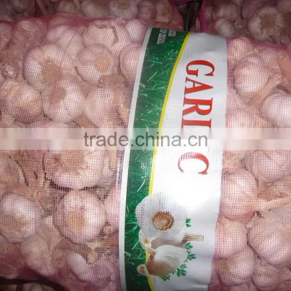 2015 New Crop Chinese Fresh White Garlic photo-3