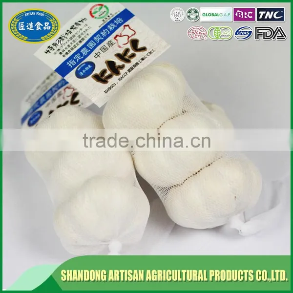 Fresh Normal White Garlic Pure White Garlic China Supplier photo-3