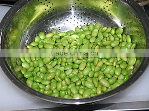 DPL-300 CE Qualified Bean Sheller Peeler Peeling Machine photo-4
