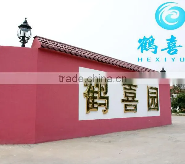 Soya Lecithin as Poultry Broiler Feed photo-6