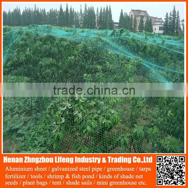 Best Selling 100% Virgin Hdpe / pe Net , Plastic Knitted Vineyard Anti Bird Netting photo-3