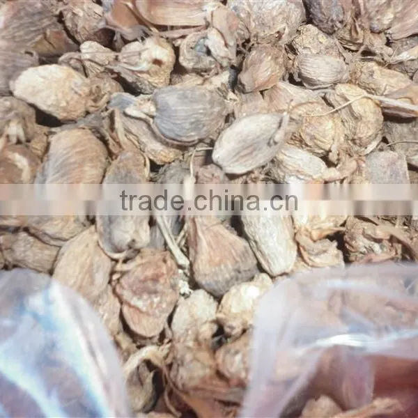 Vietnam Dried Style BLACK CARDAMOM Exporter photo-5