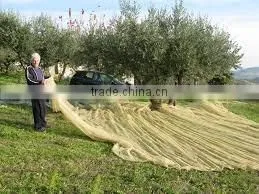 Factory Supply HDPE Olive Harvest Net photo-3