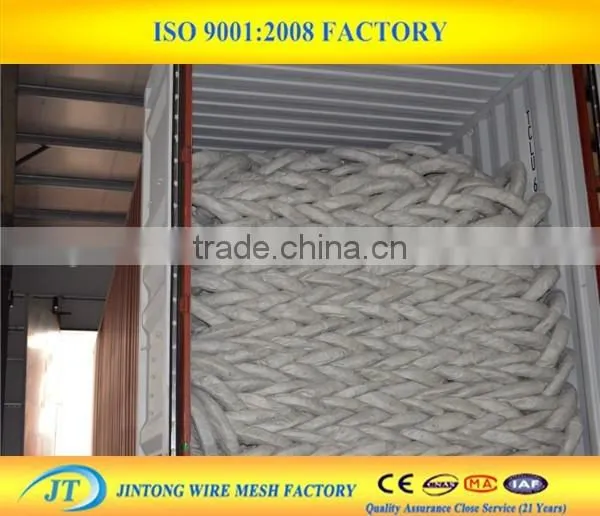 Wholesale Price Razor Wire Security Fencing Spikes photo-6