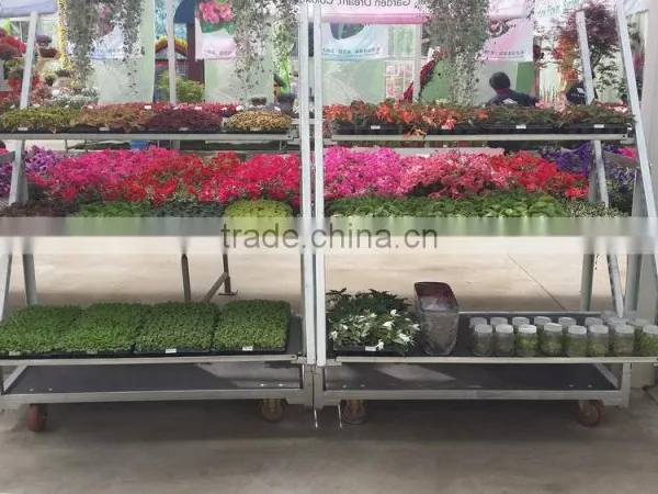 Plywood Flower Cart photo-3