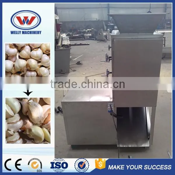 Factory Price Stainless Steel Automatic Garlic Separating Machine photo-5