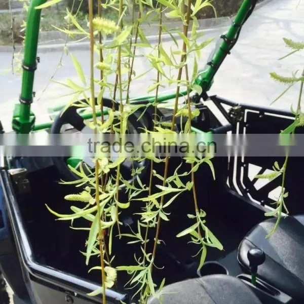 China Hotselling 400cc Off-road UTV /400cc Off-road go Kart /sport UTV 400cc (TKG400-A4) photo-6