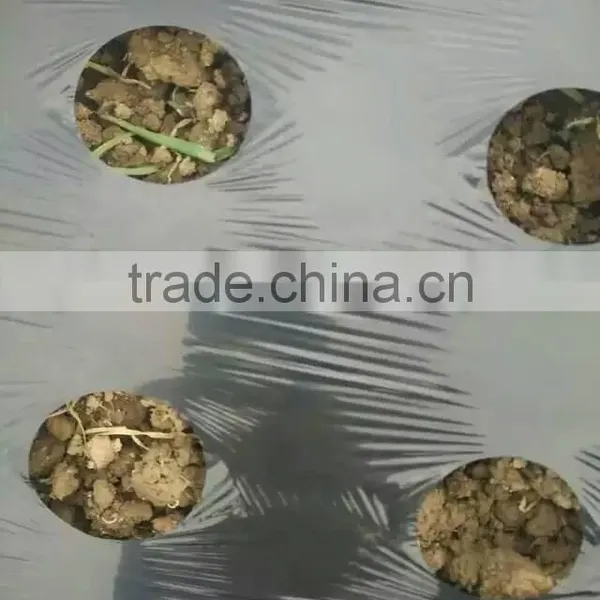 White/silver Effective Mulch Film for Strawberry photo-2