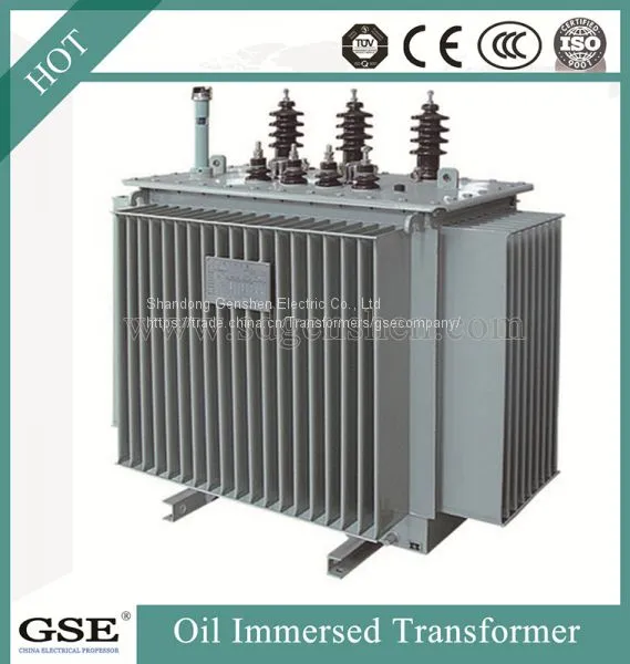 Power Transformer/Oil Immersed Power Distribution Transformer/800kVA Transformer photo-4