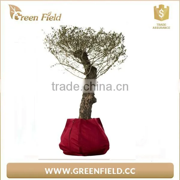 2017 Eco-friendly Gardening Planter Bag Grow Bag photo-4
