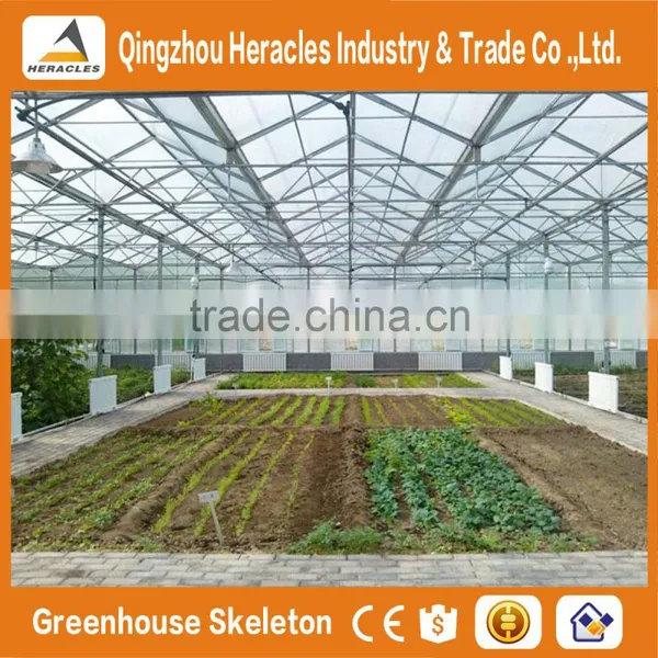 Factory Price Trade Assurance Greenhouse Equipment- Plastic Sheet Agricultural Greenhouse From China Supplier photo-3