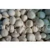 IQF Mushroom Whole&slice