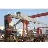 Deck Slewing Crane for Ship