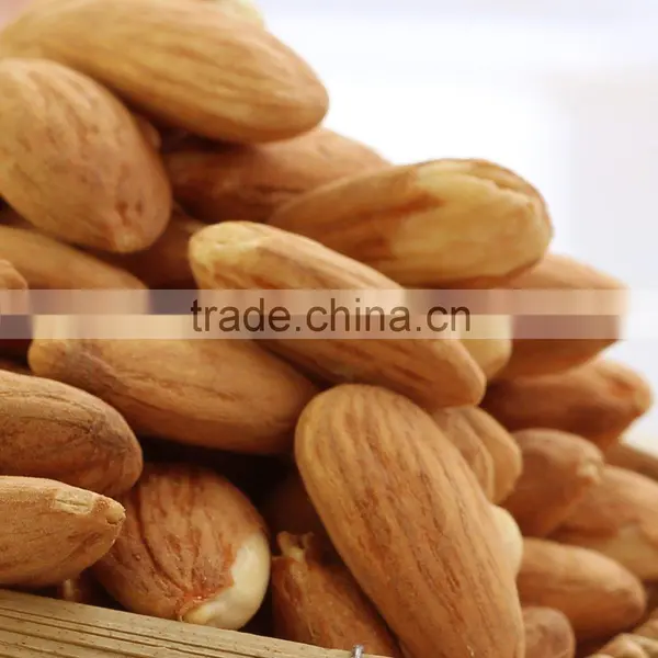 Good Quality Almonds Nuts