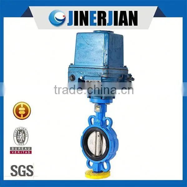 From China Electric Flanged Butterfly Valve Stem photo-4